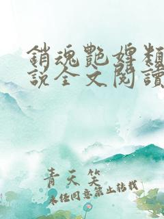 销魂艳婢类似小说全文阅读