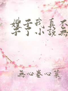 嫂子我真不是傻子了小说无删减版