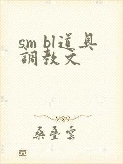 sm bl道具调教文