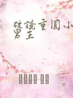 破镜重圆小说双男主
