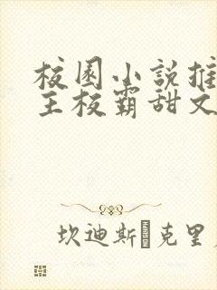 校园小说推荐男主校霸甜文