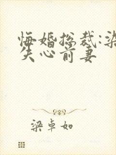 悔婚总裁:染指失心前妻