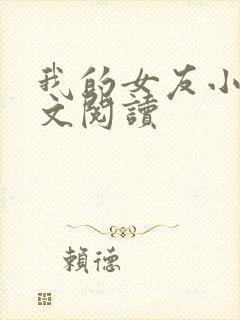我的女友小琳全文阅读