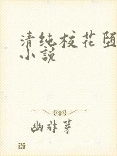 清纯校花堕落的小说