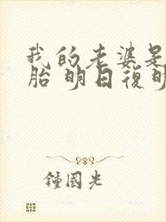 我的老婆是双胞胎 明日复明日