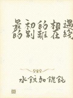 最初的相遇最后的别离在线