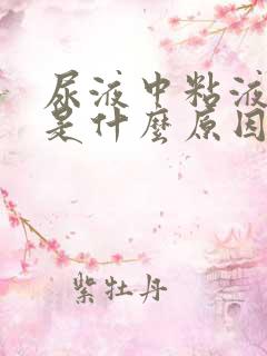 尿液中粘液丝高是什么原因