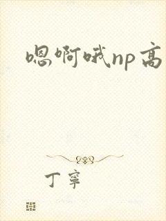 嗯啊哦np高h