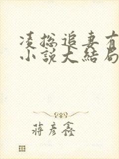 凌总追妻有点甜小说大结局