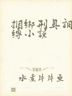 捆绑刑具调教束缚小说