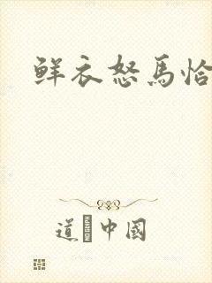 鲜衣怒马恰少年