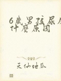 6岁男孩尿床是什么原因