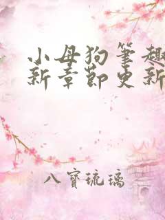 小母狗笔趣阁最新章节更新