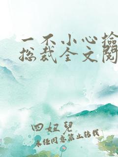 一不小心捡到个总裁全文阅读