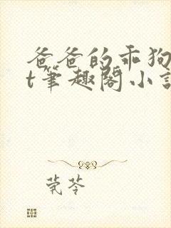 爸爸的乖狗txt笔趣阁小说免费阅读