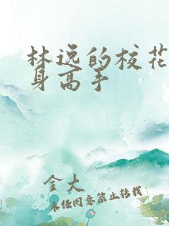 林逸的校花的贴身高手