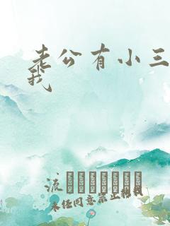 老公有小三不理我