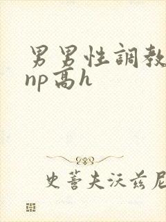 男男性调教小说np高h