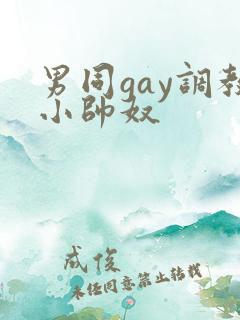 男同gay调教小帅奴