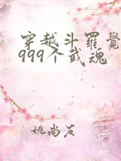 穿越斗罗觉醒了999个武魂