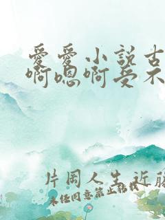 爱爱小说古文嗯啊嗯啊受不了了
