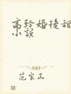 高干婚后甜宠文小说