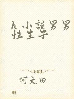h 小说男男双性生子