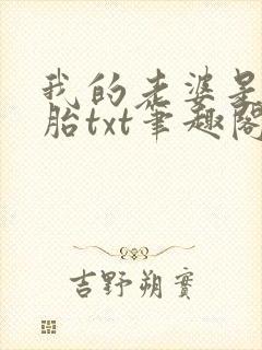 我的老婆是双胞胎txt笔趣阁