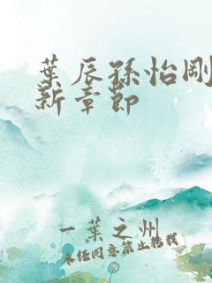 叶辰孙怡刚刚更新章节