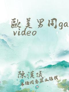 欧美男同gay video
