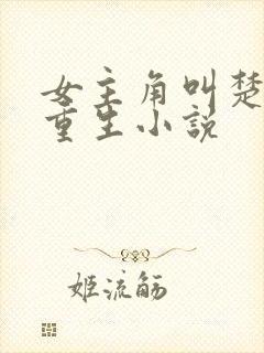 女主角叫楚瑜的重生小说