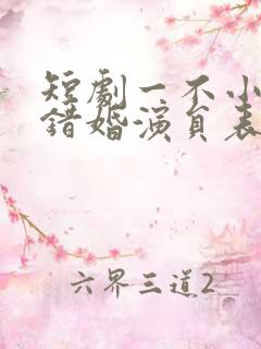 短剧一不小心离错婚演员表