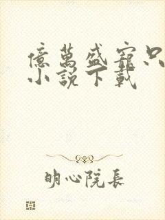 亿万盛宠只为你小说下载