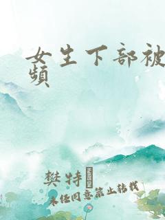 女生下部被舔视频