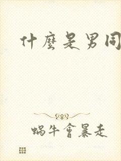 什么是男同性恋