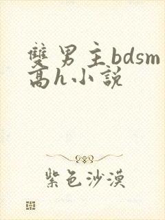 双男主bdsm高h小说