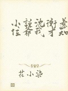 小说沈衡惹上那位爷我才知道什么叫绝路在