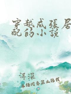 穿越成张居正原配的小说