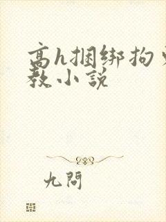 高h捆绑拘束调教小说