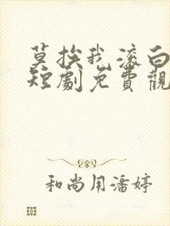 莫挨我滚白月光短剧免费观看