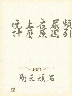 晚上夜尿频繁是什么原因引起的