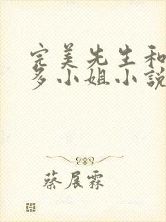 完美先生和差不多小姐小说