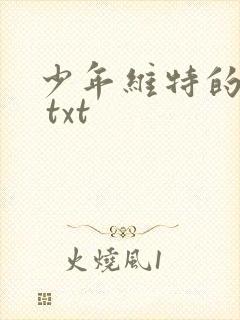 少年维特的烦恼 txt