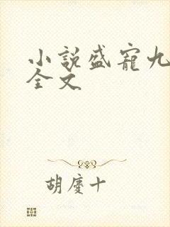 小说盛宠九皇妃全文