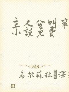 主人公叫宁尘的小说免费