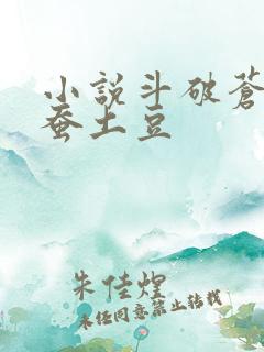 小说斗破苍穹天蚕土豆