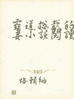 霸道总裁的小娇妻小说阅读