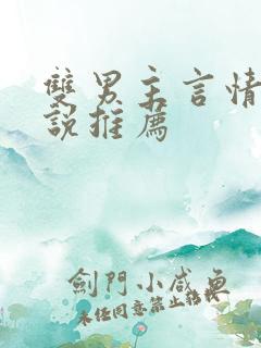 双男主言情的小说推荐