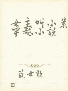 女主叫小叶子的穿越小说