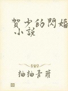 贺少的闪婚暖妻 小说